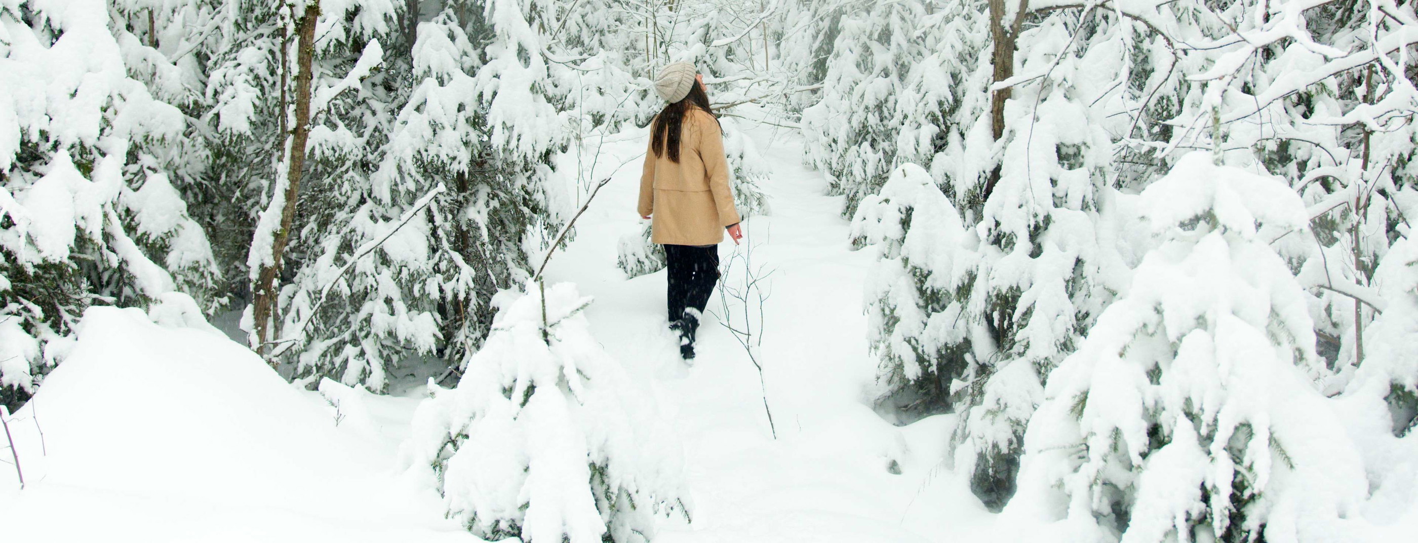 Sneeuwpret in België: de leukste activiteiten in de sneeuw
