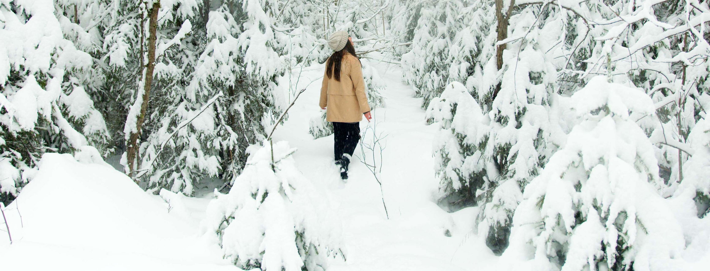Sneeuwpret in België: de leukste activiteiten in de sneeuw header image