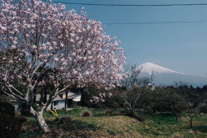 Japan: budgetproof naar Tokio, Mount Fuji, Kyoto & Osaka