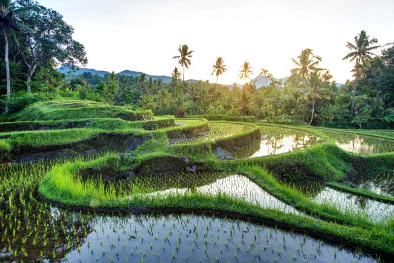 Reis door Indonesië: van Bali tot Java en Lombok