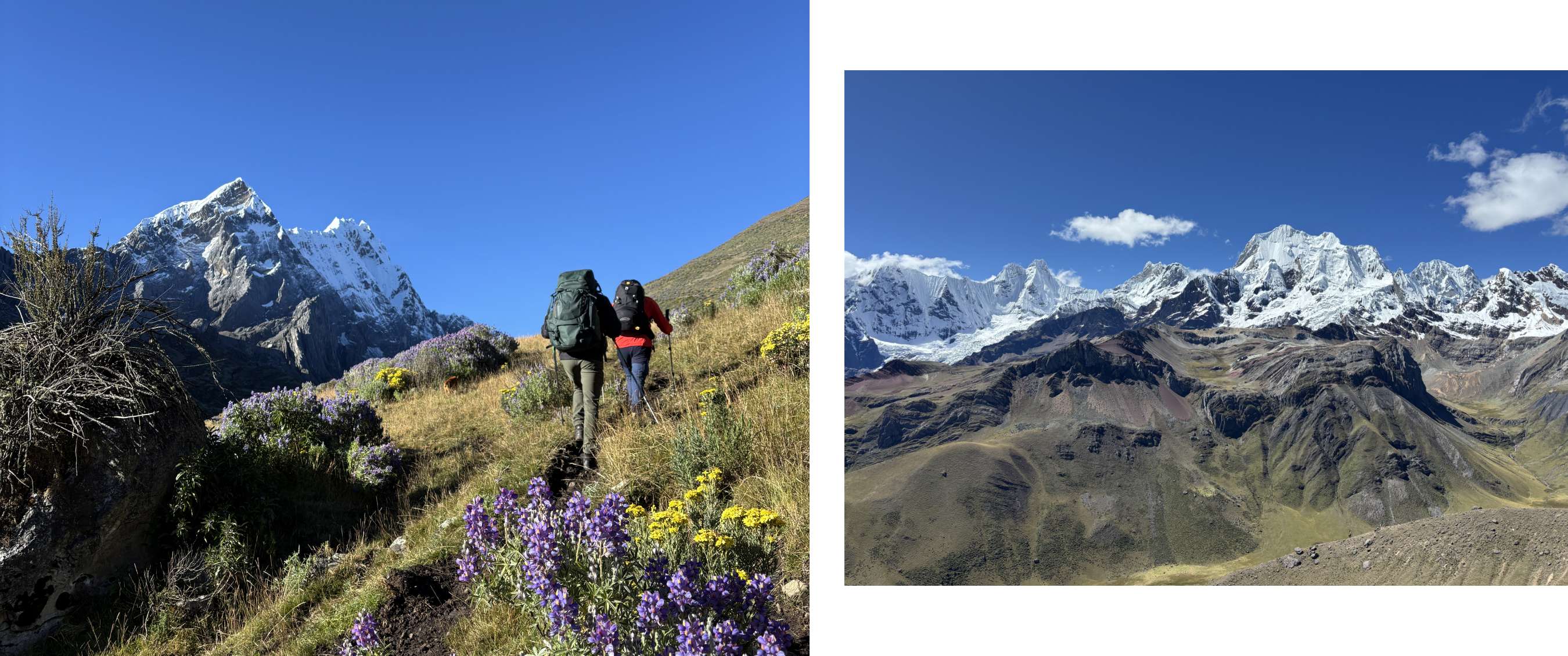 Deux images : des randonneurs montent un sentier fleuri avec des sommets enneigés — vue panoramique sur une chaîne de montagnes sous un ciel bleu.