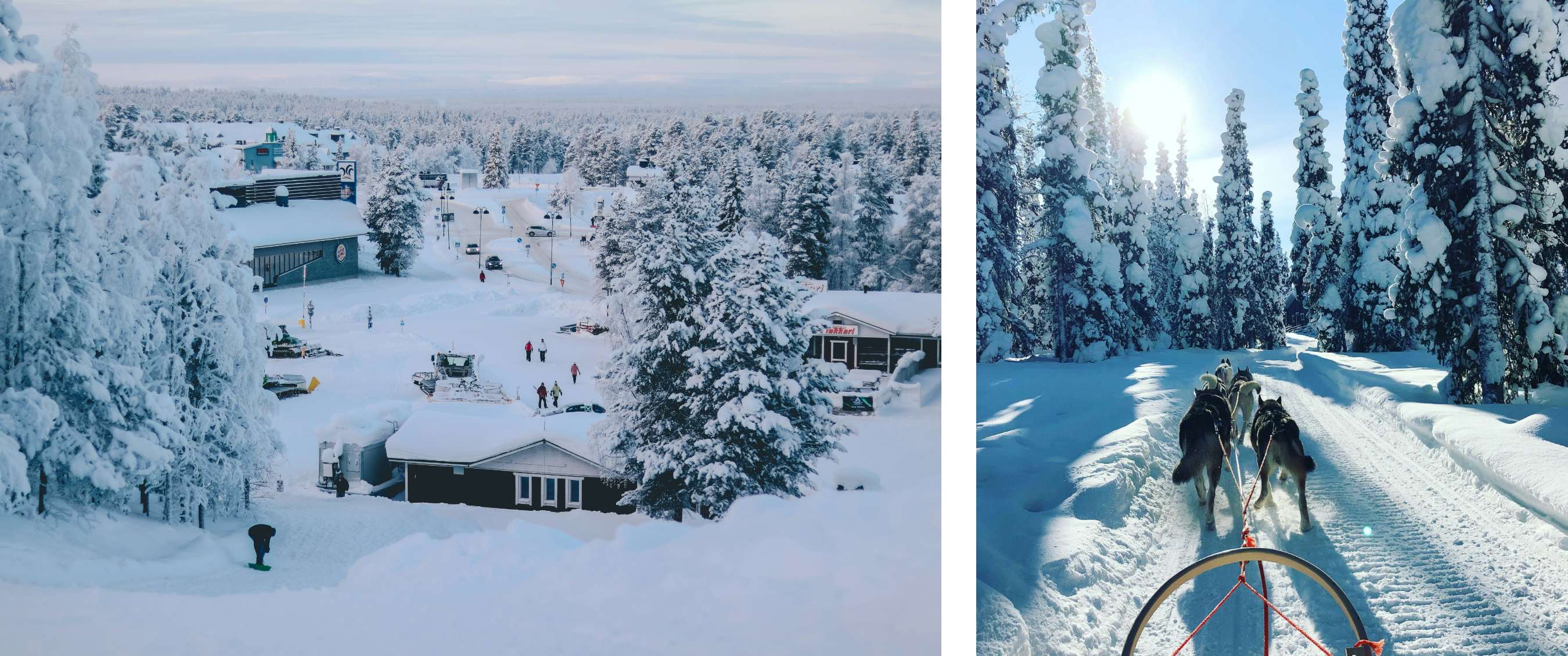 Twee beelden: winterlandschap met gebouwen en activiteiten in een sneeuwrijk dennenbos; hondensledetocht door een besneeuwd bos bij laagstaande zon.