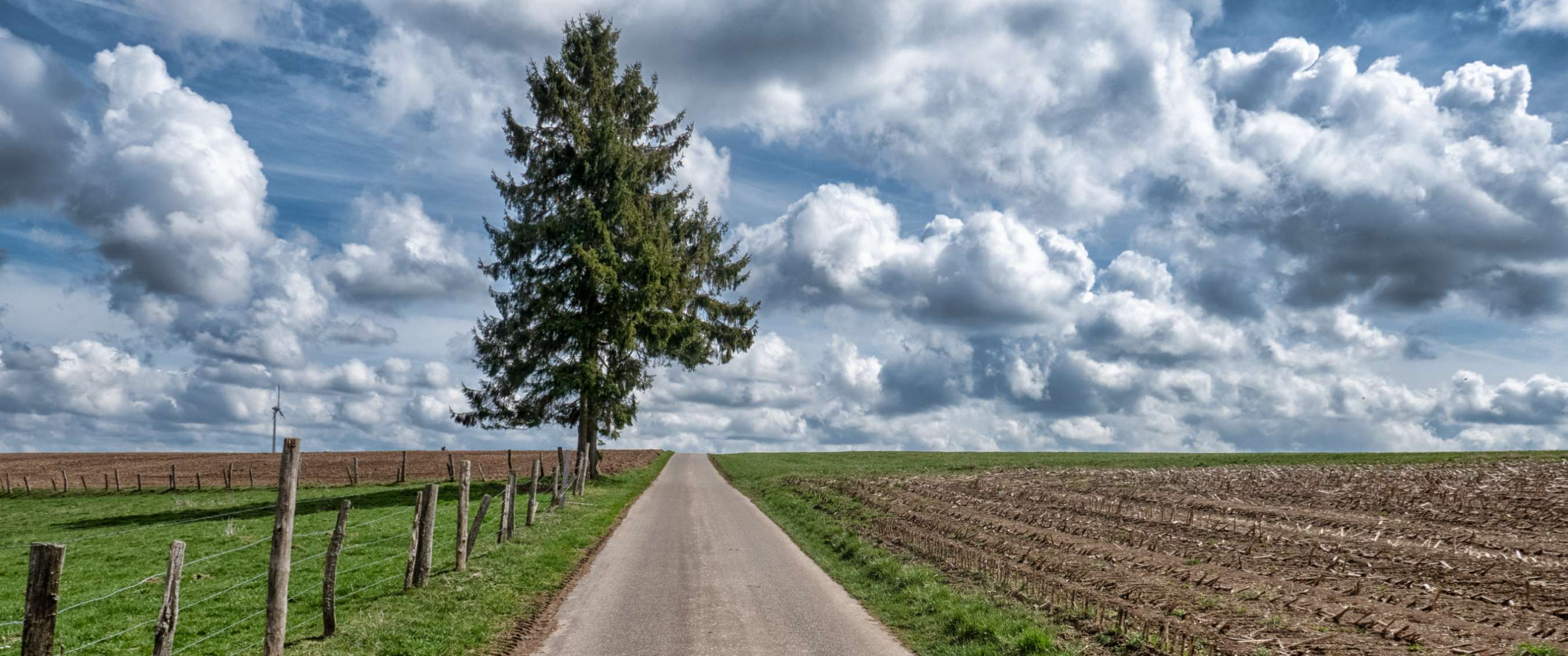 Twee beelden: mist trekt door een rotsachtig berglandschap; koe staat in een weide met bomen.