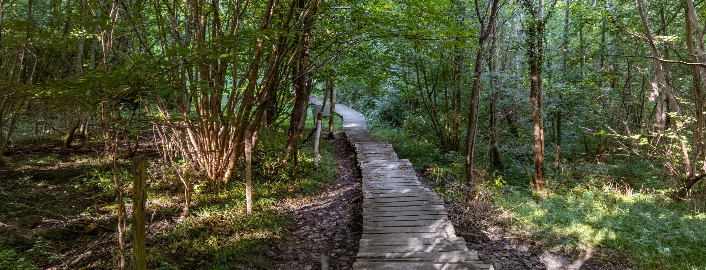 De 10 leukste geocaches in België