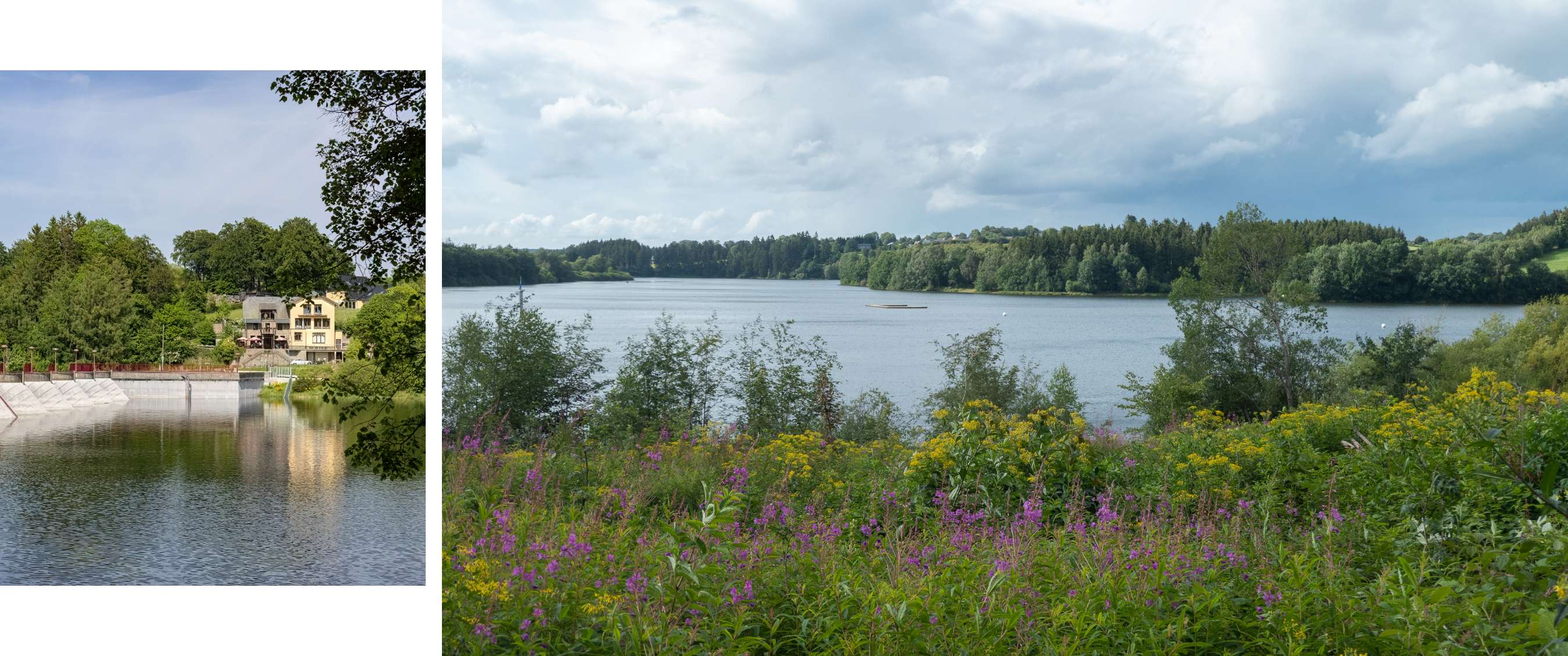Uitzicht over een meer met bomen, struiken en bloeiende planten onder een bewolkte lucht.