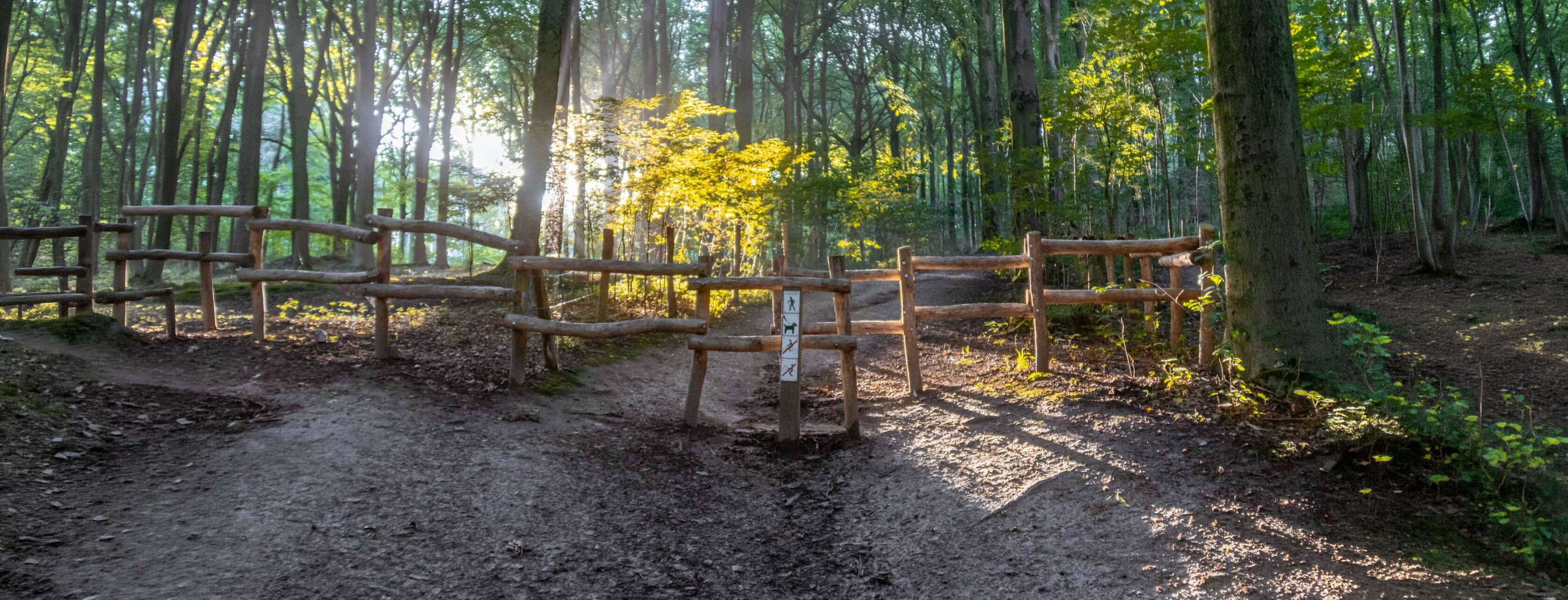 Les 7 plus belles randonnées automnales à faire en Belgique header image