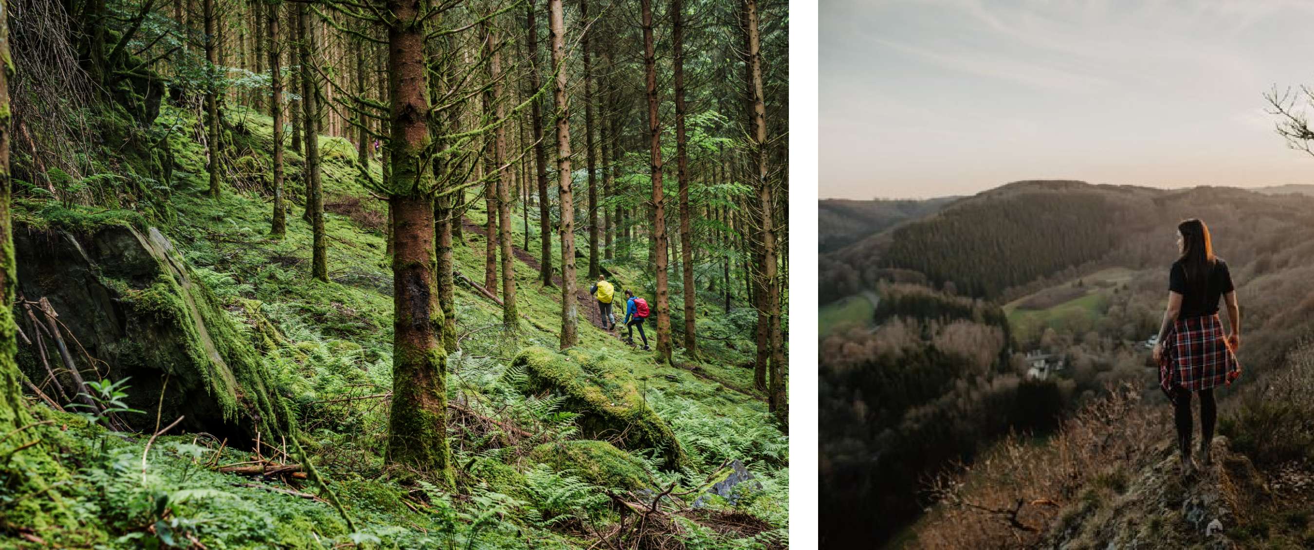 Wandelaars trekken door een dicht, mosgroen woud in Luxemburg, omgeven door hoge sparren en varens.