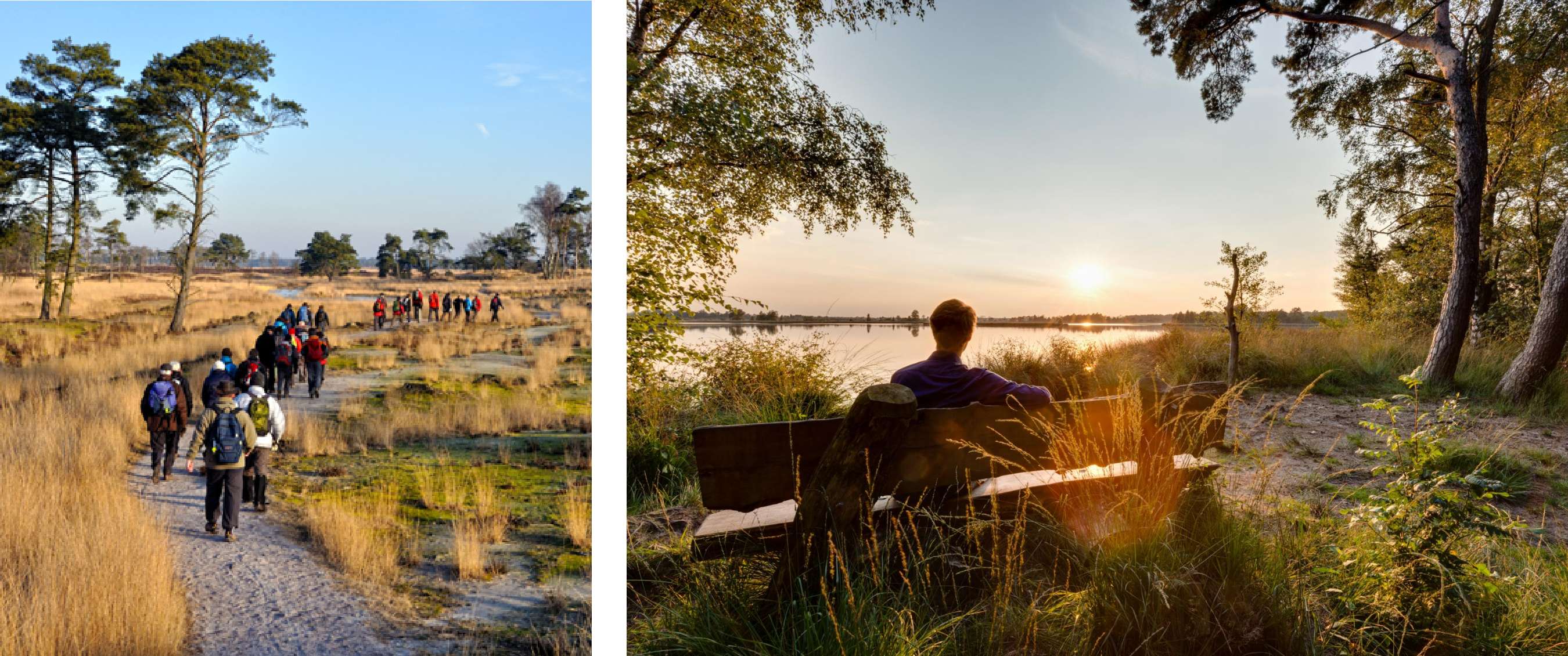 Deux images : randonneurs suivant un chemin sinueux à travers une lande sèche ; moment de repos sur un banc au bord de l’eau à la lumière du soir.