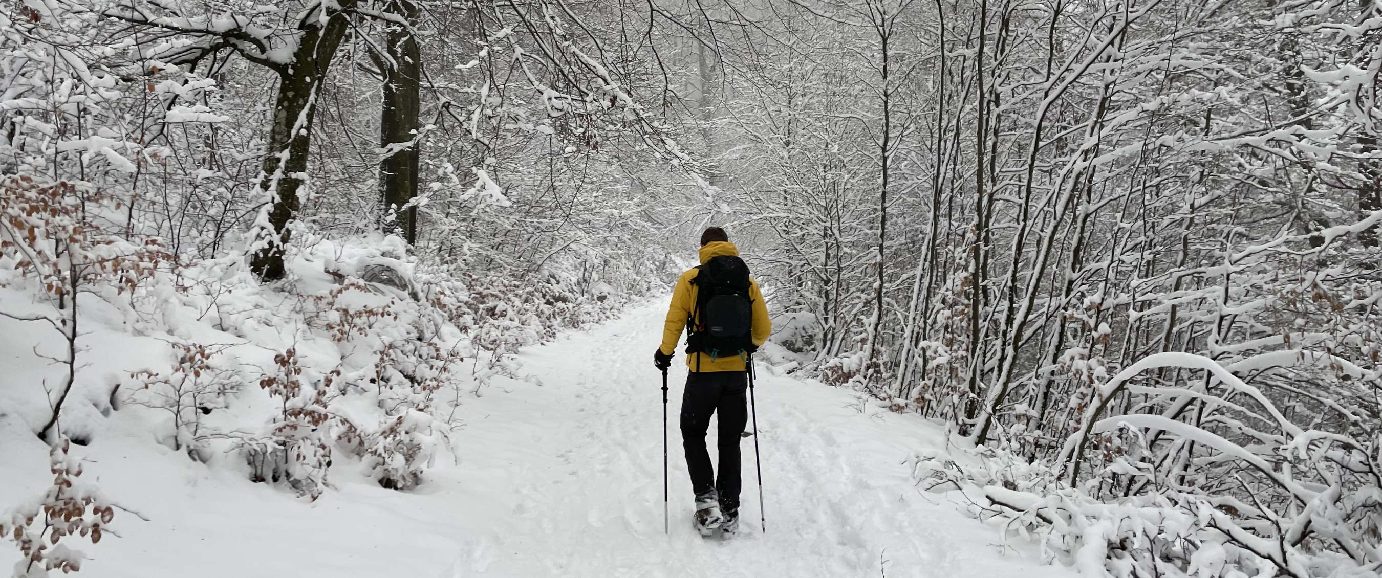 Randonneur avec sac à dos et bâtons marchant sur un sentier enneigé en forêt.