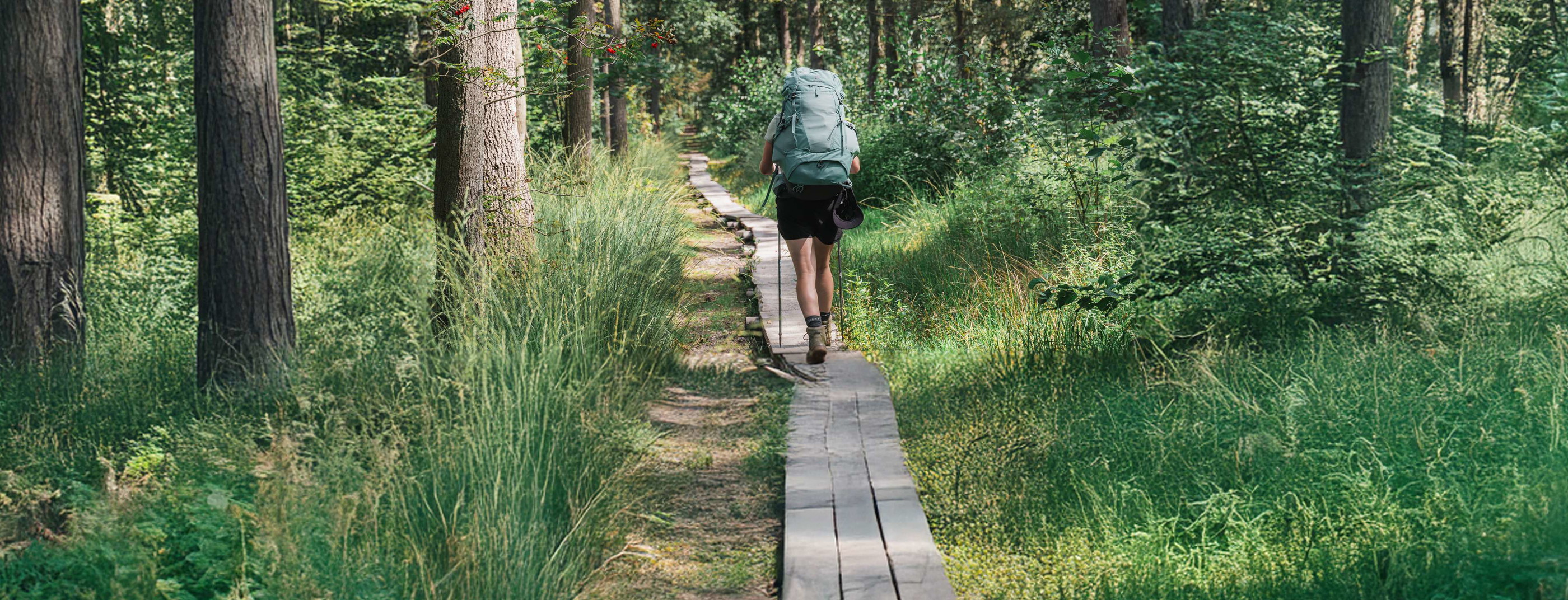 12x wandelen in Limburg: de mooiste routes