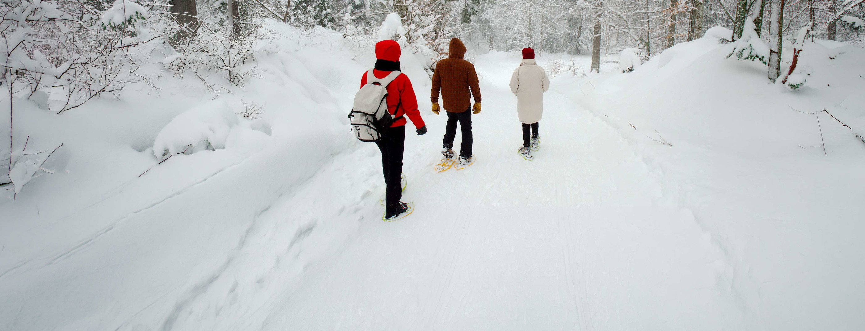 Les plus belles balades automnales et hivernales en France