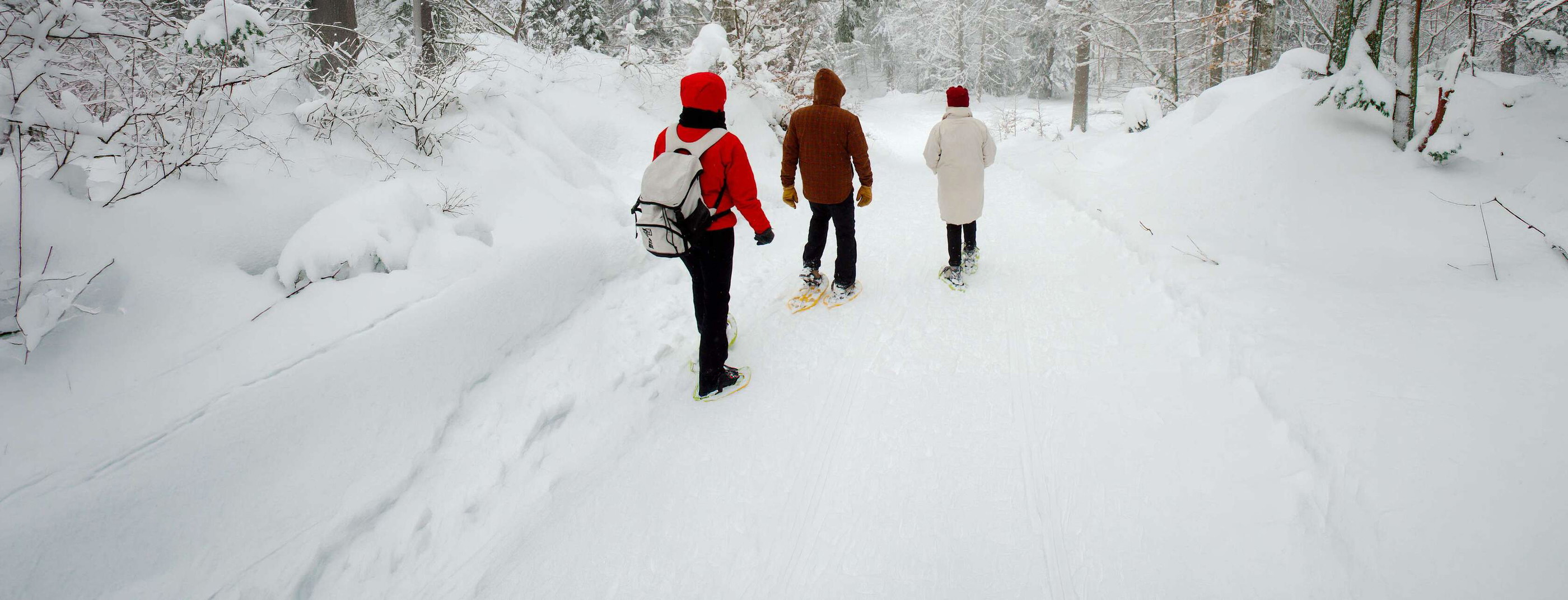 Les plus belles balades automnales et hivernales en France header image