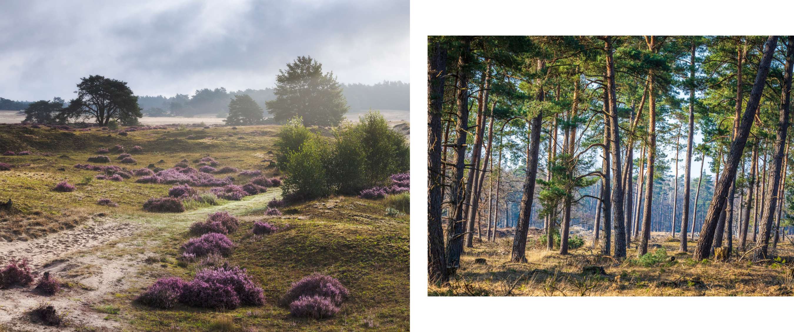Wandelaar in outdoor kleding in een bergachtig landschap