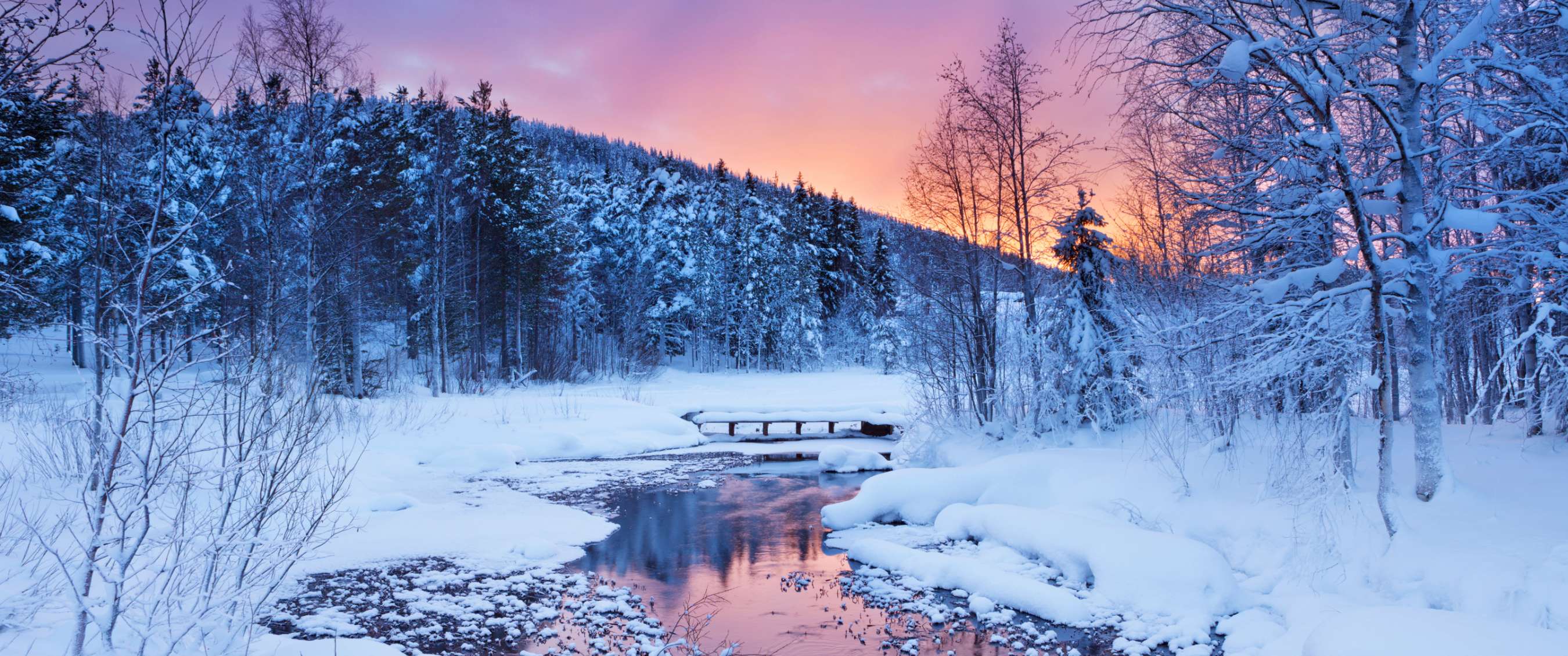 Besneeuwd bos met bevroren rivier en roze zonsopkomst.