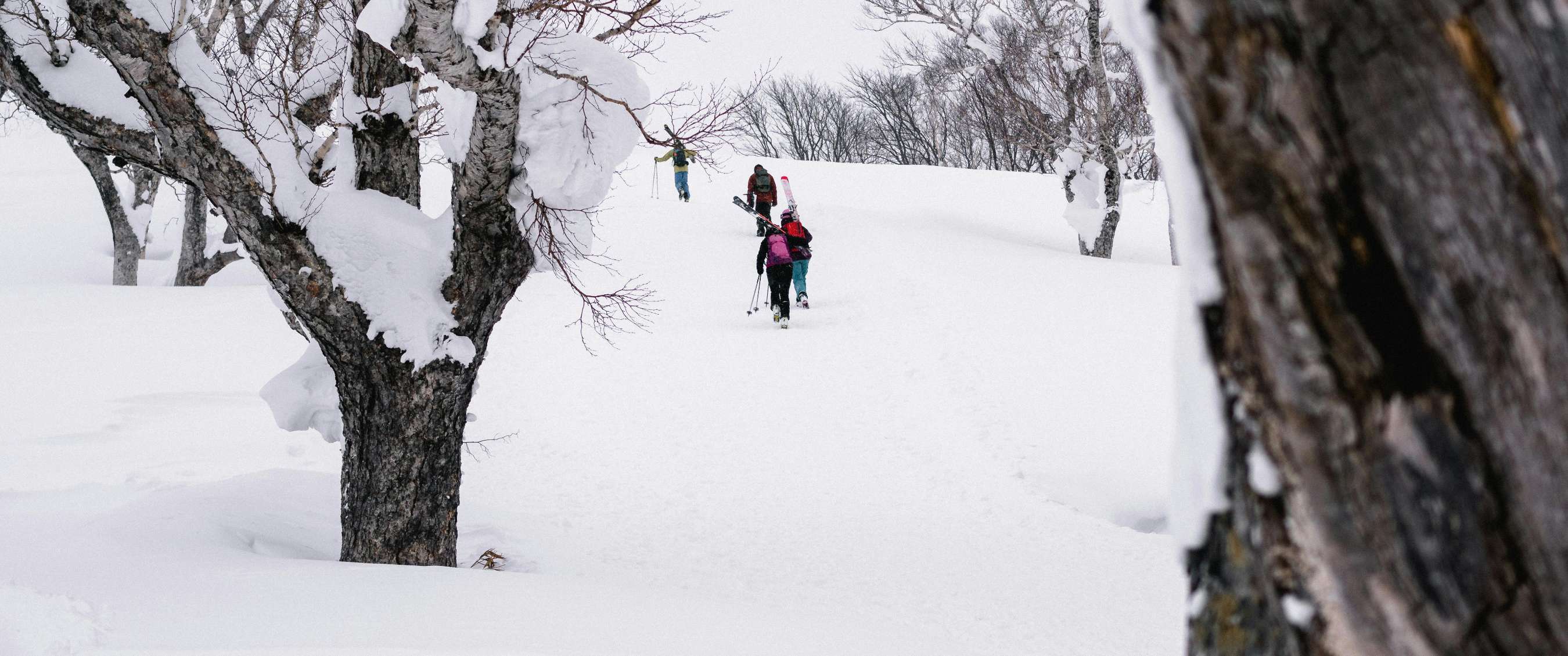 Twee sneeuwschoenwandelaars wandelen door een wit besneeuwd bos met kale bomen.