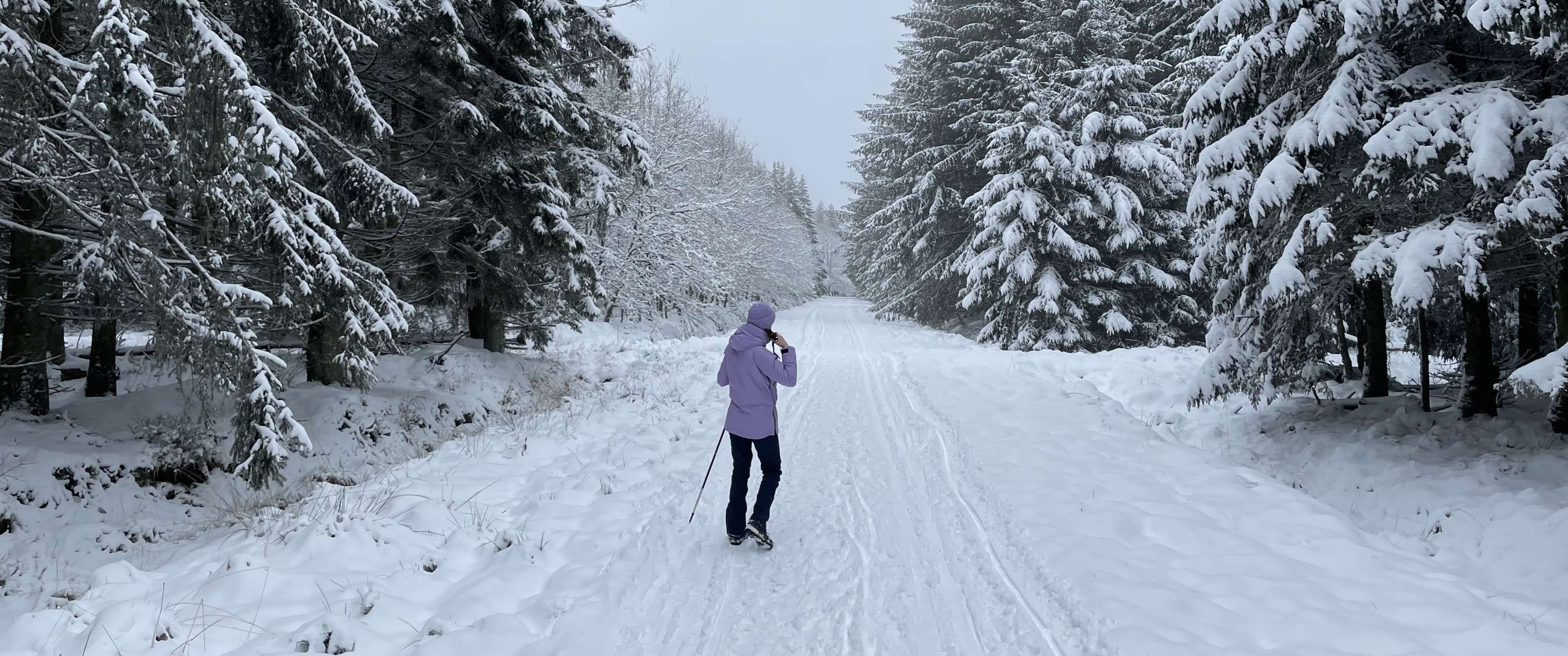 Chemin d’hiver en forêt avec skieur de fond entouré de sapins.